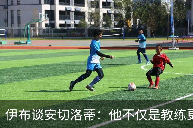 伊布谈安切洛蒂：他不仅是教练更是管理者 执教巴西对他是挑战